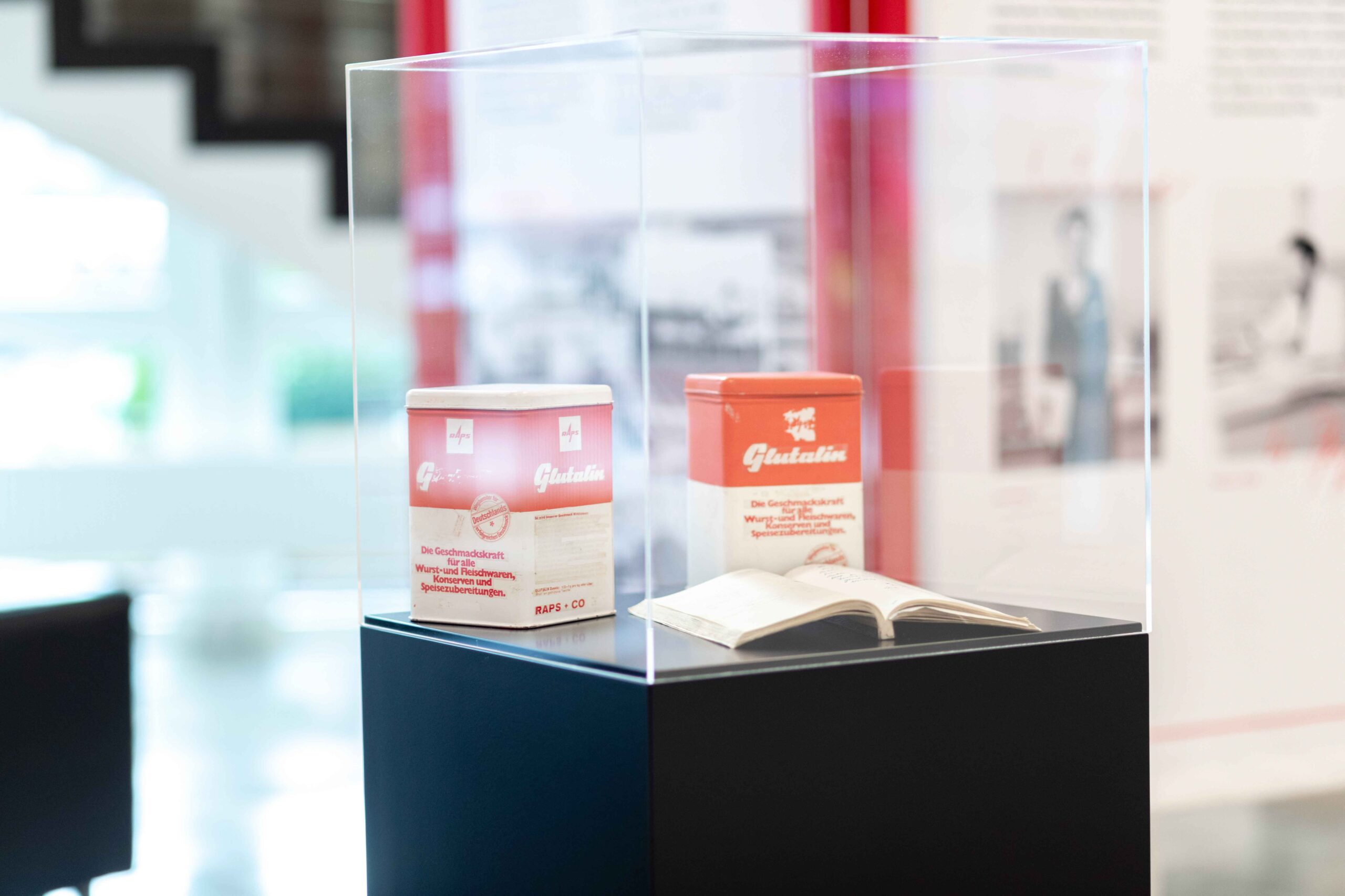 RAPS-Ausstellung-Web-6